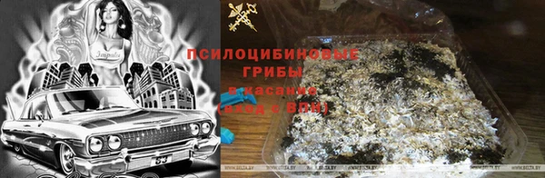 соль ск Абаза