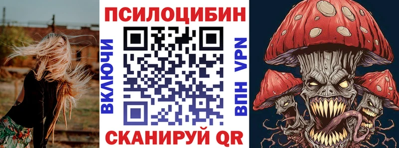 kraken сайт  Нариманов  Псилоцибиновые грибы Psilocybe 